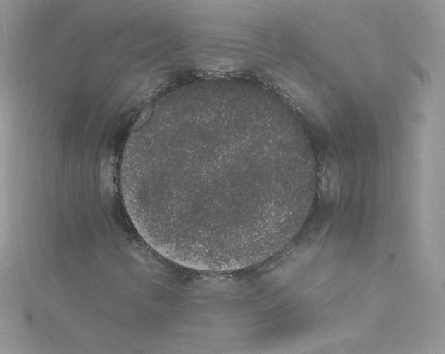 X0000114661346200911171102