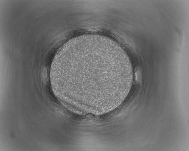 X0000114661347200911171102