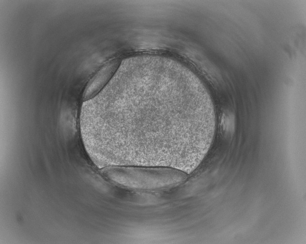 X0000114661348200911171102