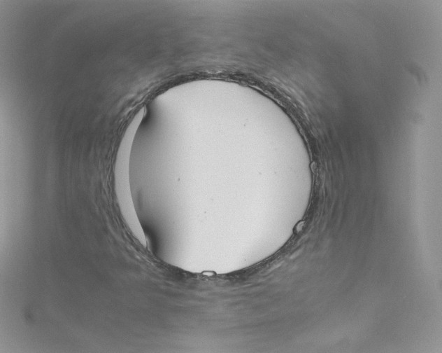 X0000114661349200911171102