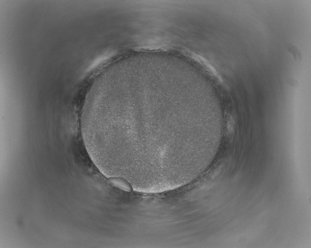 X0000114661350200911171102