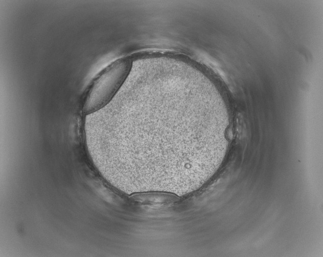 X0000114661352200911171102