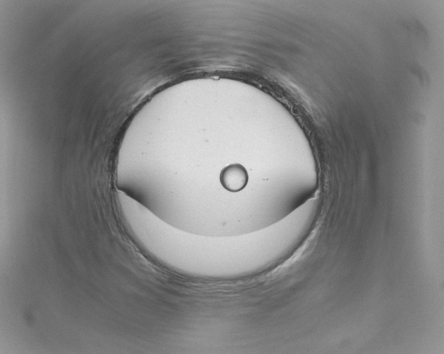 X0000114661353200911171102