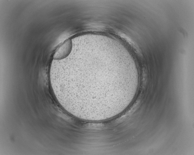 X0000114661354200911171102