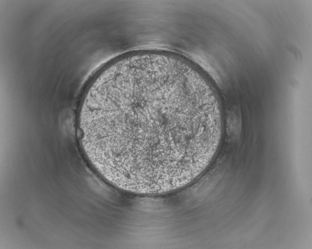 X0000114661356200911171102