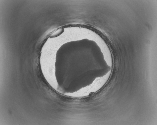 X0000114661359200911171102