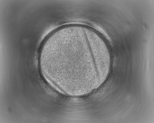 X0000114661360200911171102