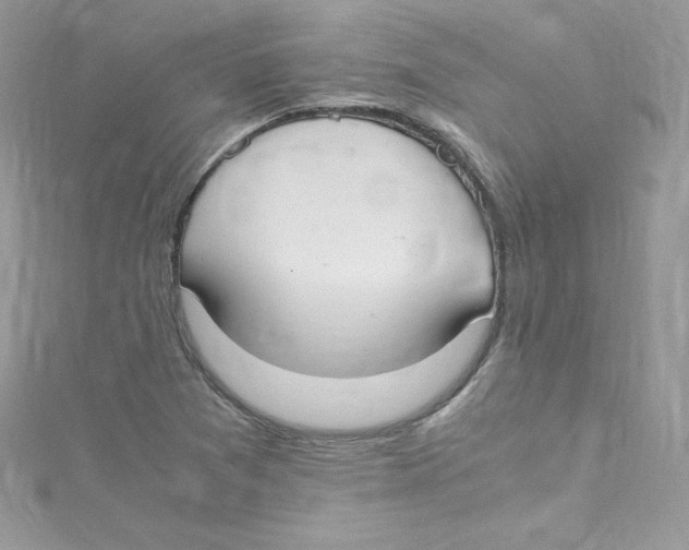 X0000114661361200911171102