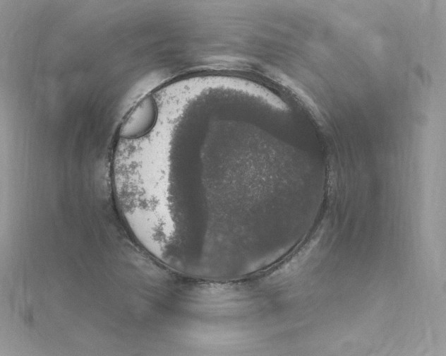 X0000114661362200911171102