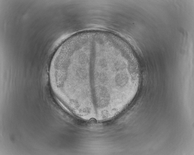 X0000114661363200911171102