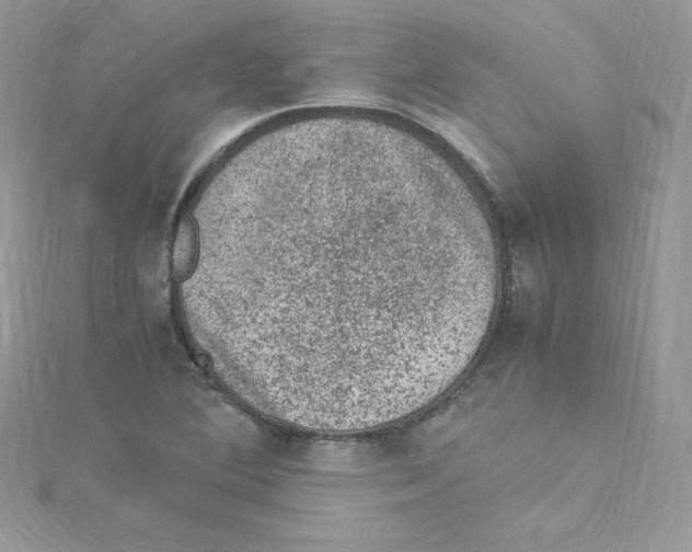 X0000114661364200911171102