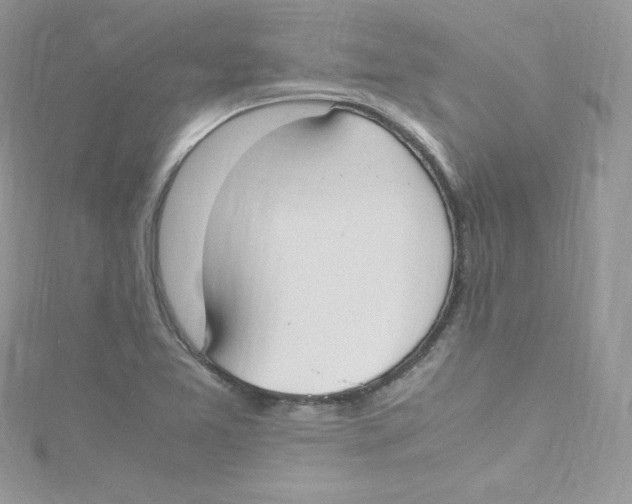 X0000114661365200911171102