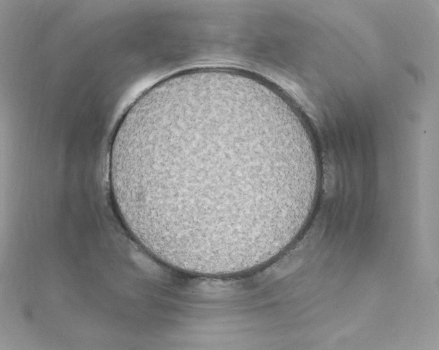 X0000114661366200911171102