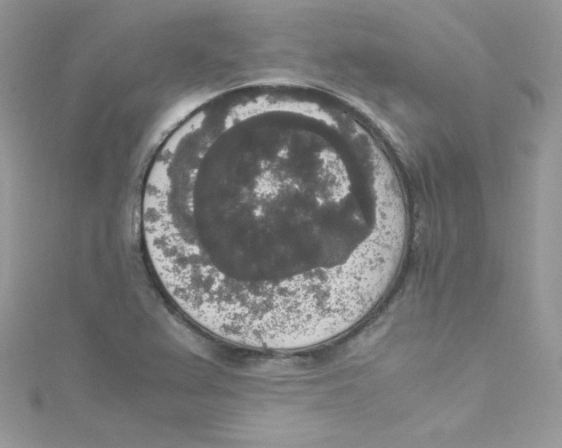 X0000114661367200911171102