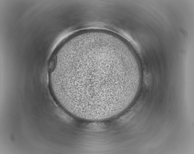 X0000114661368200911171102