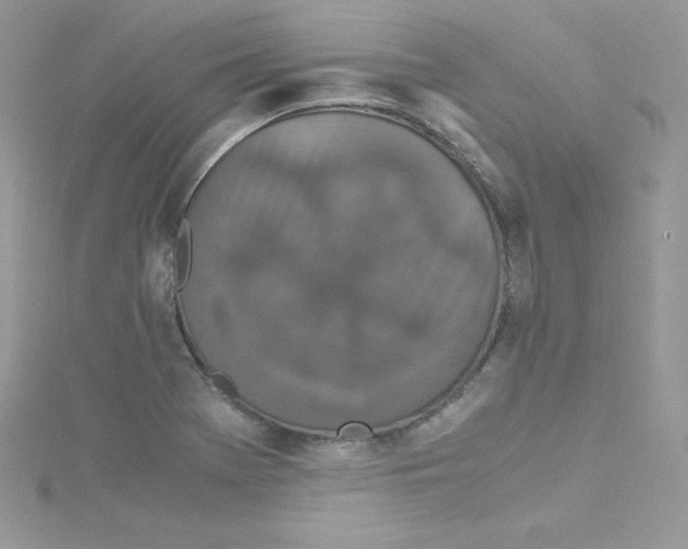 X0000114661369200911171102