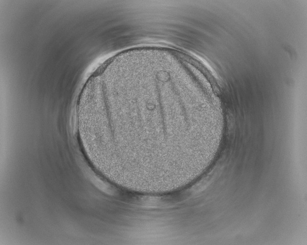 X0000114661371200911171102