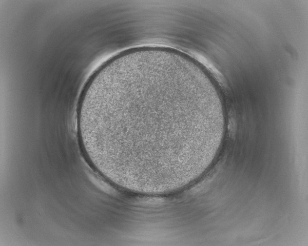 X0000114661372200911171102