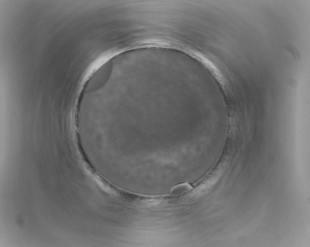 X0000114661373200911171102