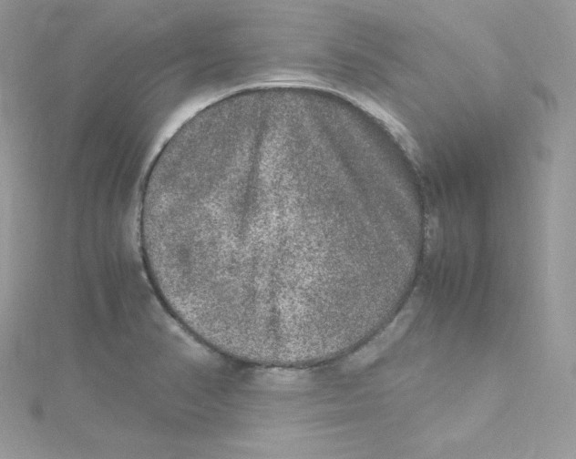 X0000114661374200911171102