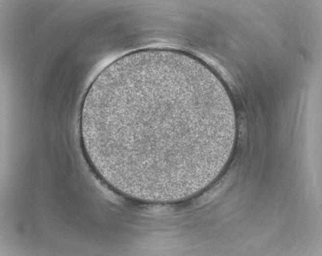 X0000114661375200911171102