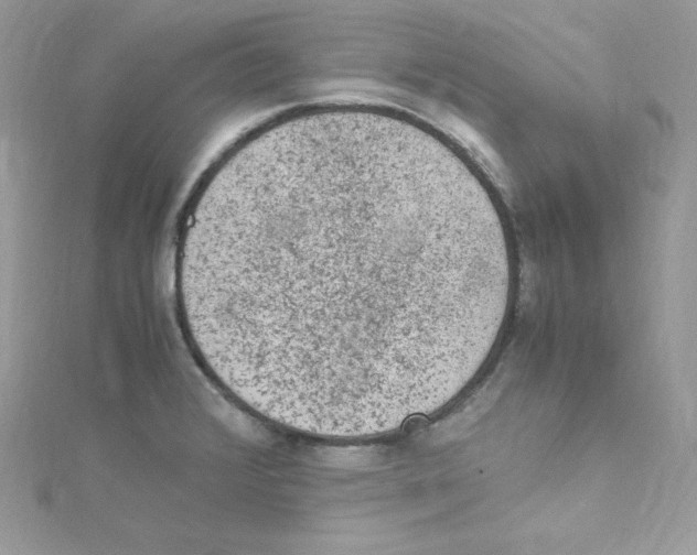 X0000114661376200911171102