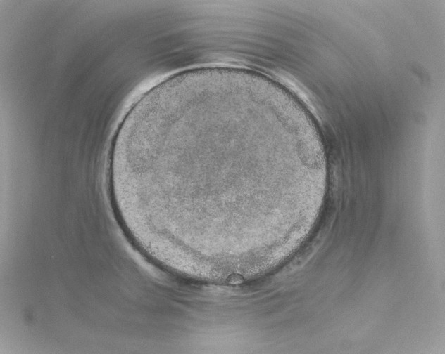 X0000114661379200911171102