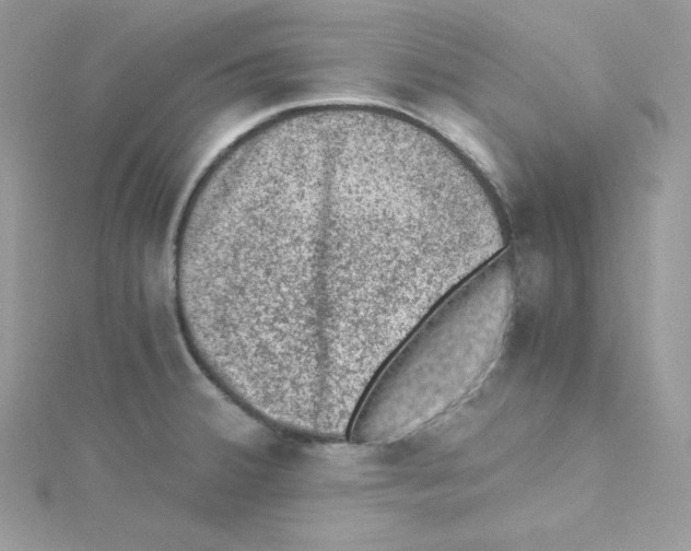 X0000114661380200911171102