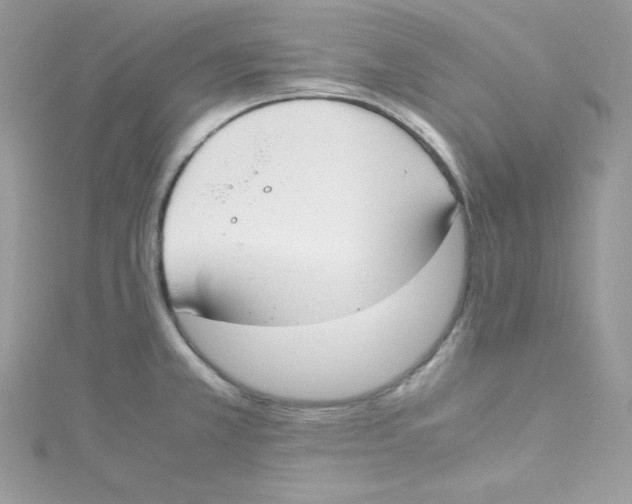 X0000114661381200911171102