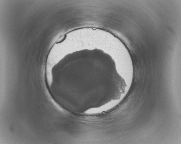 X0000114661383200911171102