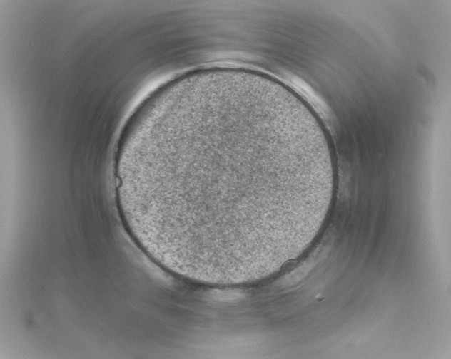 X0000114661384200911171102