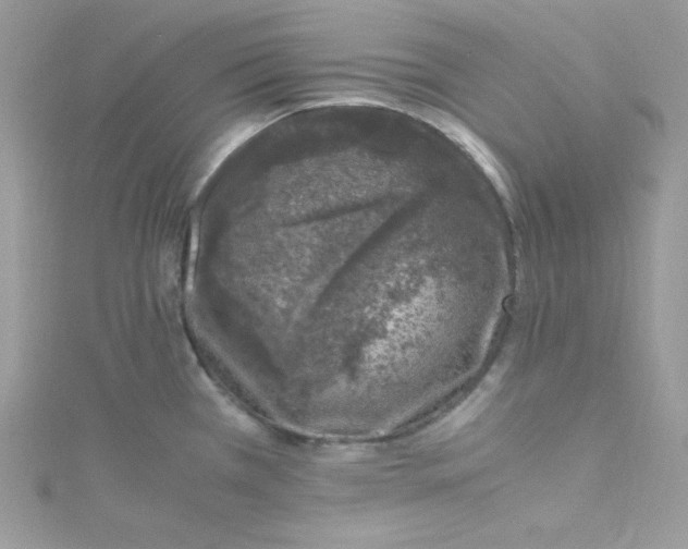 X0000114661385200911171102