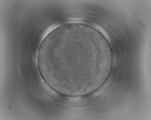 X0000114661386200911171102