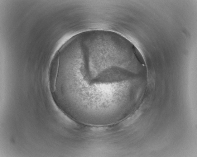 X0000114661389200911171102