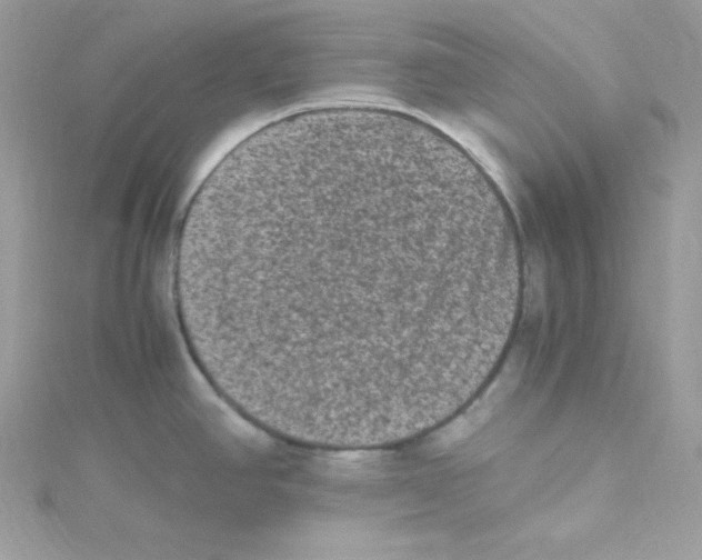 X0000114661390200911171102