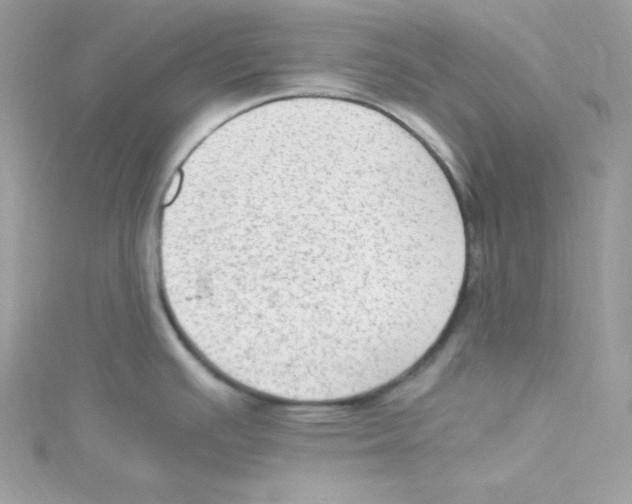 X0000114661391200911171102