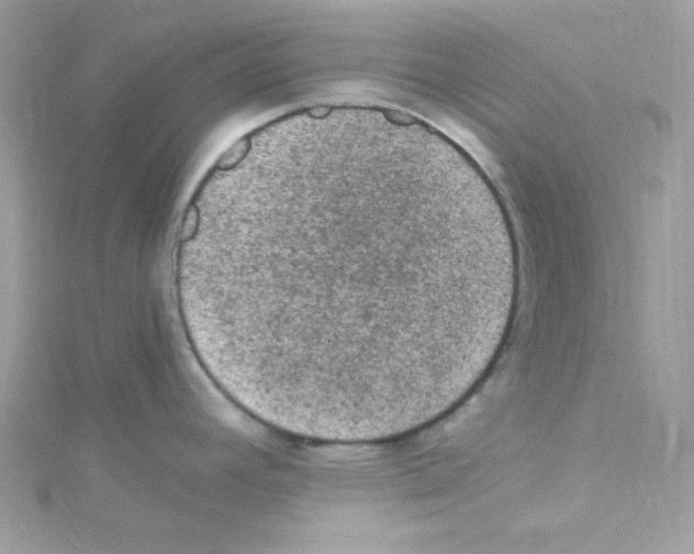 X0000114661392200911171102