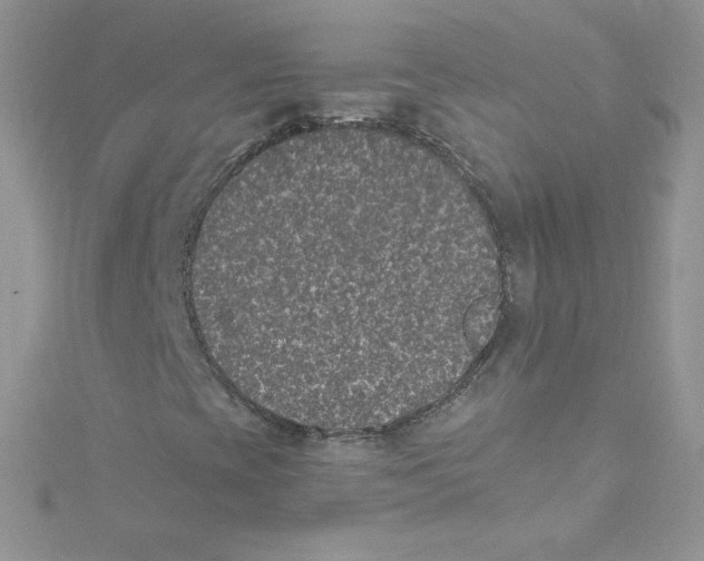 X0000114661393200911171101