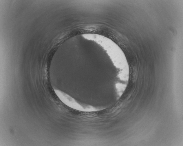 X0000114661394200911171101