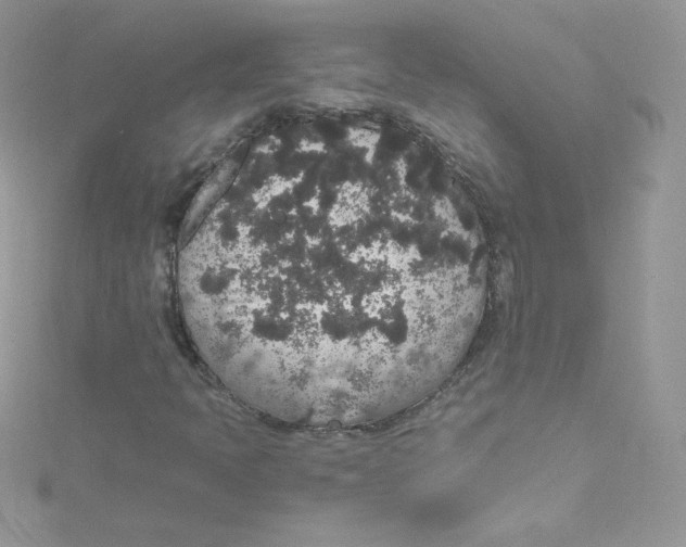 X0000114661397200911171101