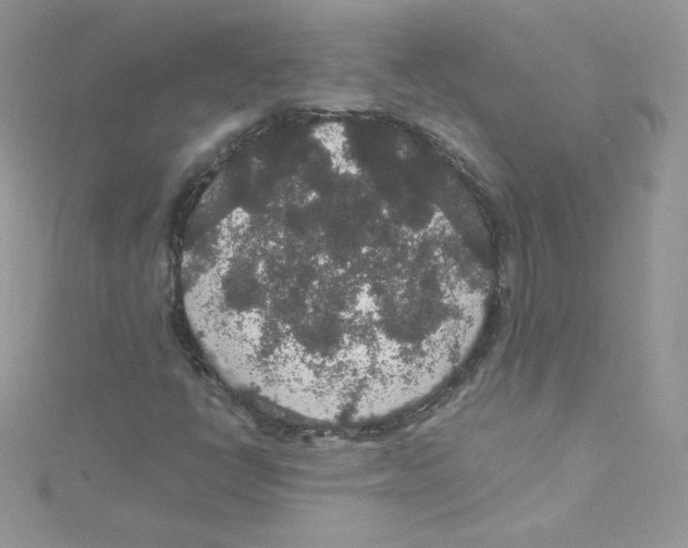 X0000114661398200911171101