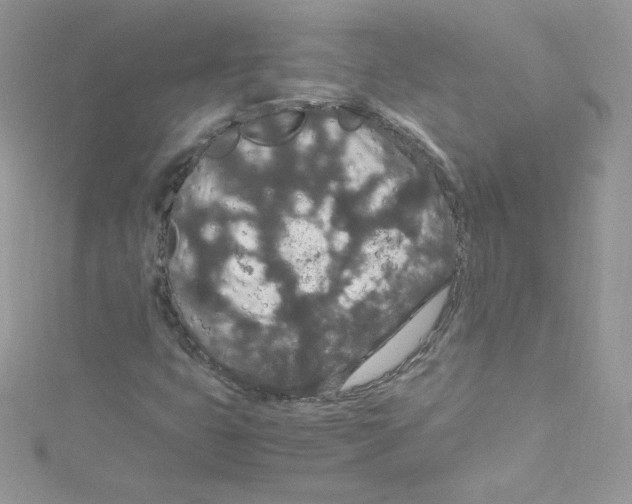 X0000114661399200911171101