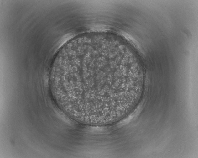 X0000114661401200911171101