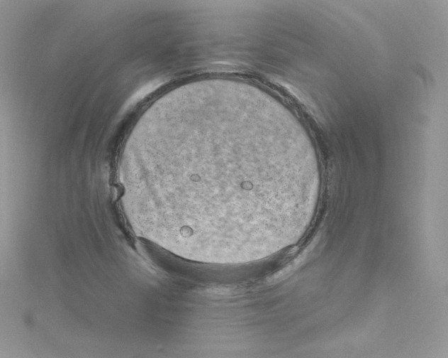 X0000114661402200911171101