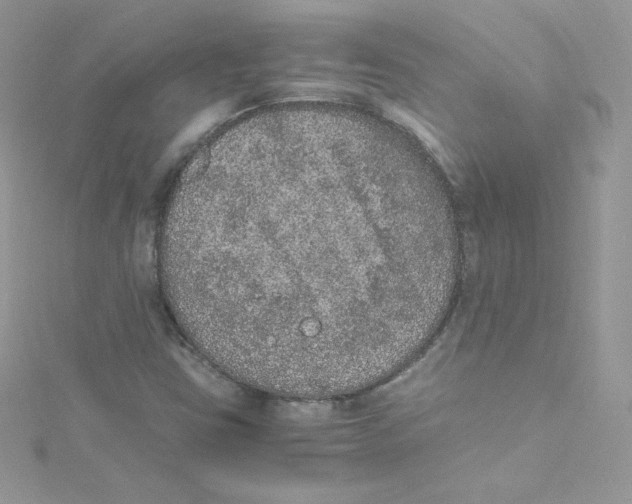 X0000114661403200911171101