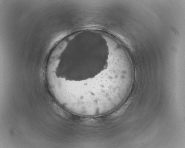 X0000114661405200911171101