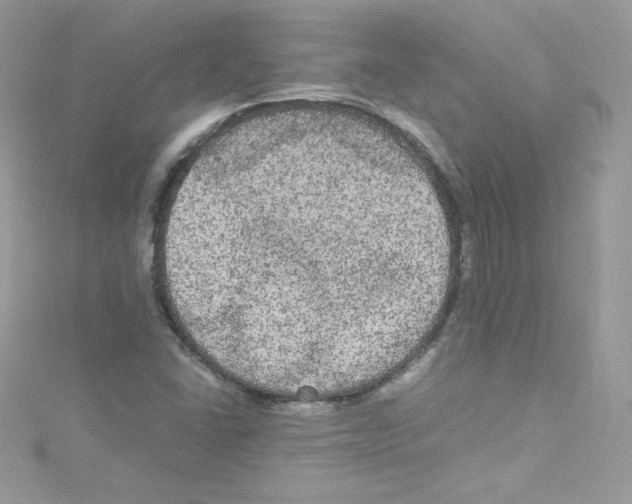 X0000114661406200911171101