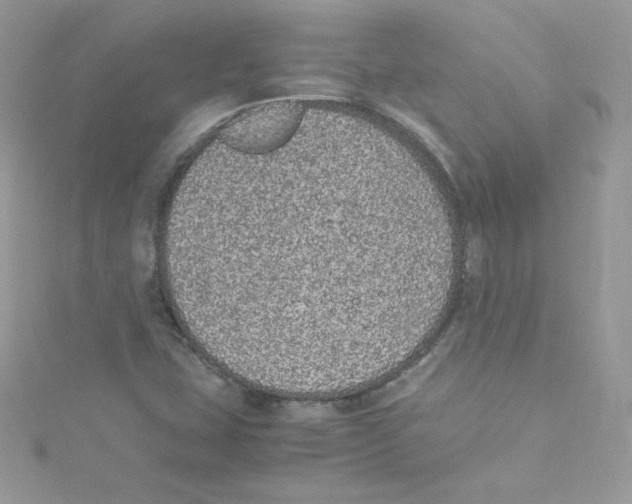 X0000114661407200911171101