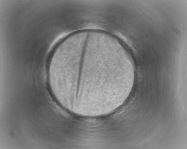 X0000114661408200911171101