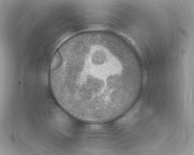 X0000114661409200911171101